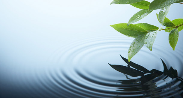 water ripple on a rainy day