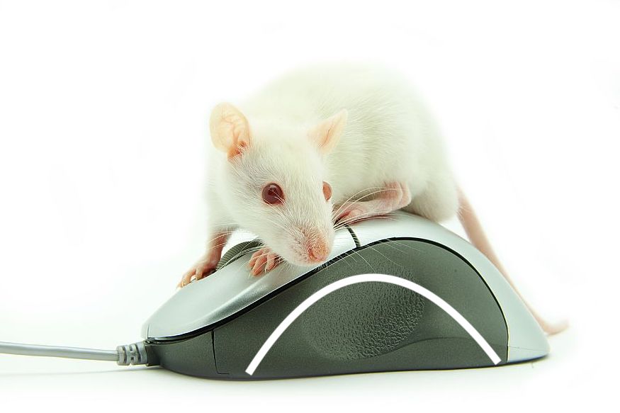 Image for Ex Physio 8312455 (1)